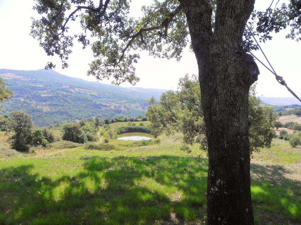 Agriturismo Sugheretello Semproniano Extérieur photo