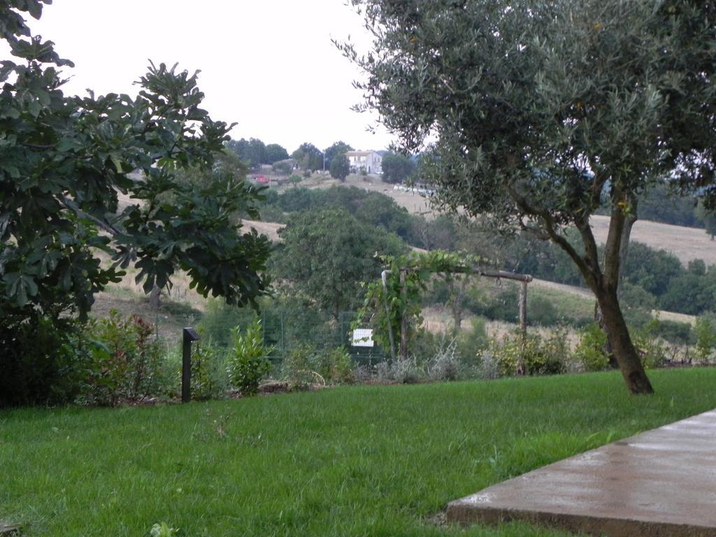 Agriturismo Sugheretello Semproniano Extérieur photo