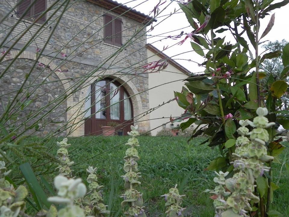 Agriturismo Sugheretello Semproniano Extérieur photo