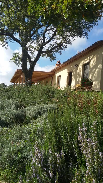 Agriturismo Sugheretello Semproniano Extérieur photo